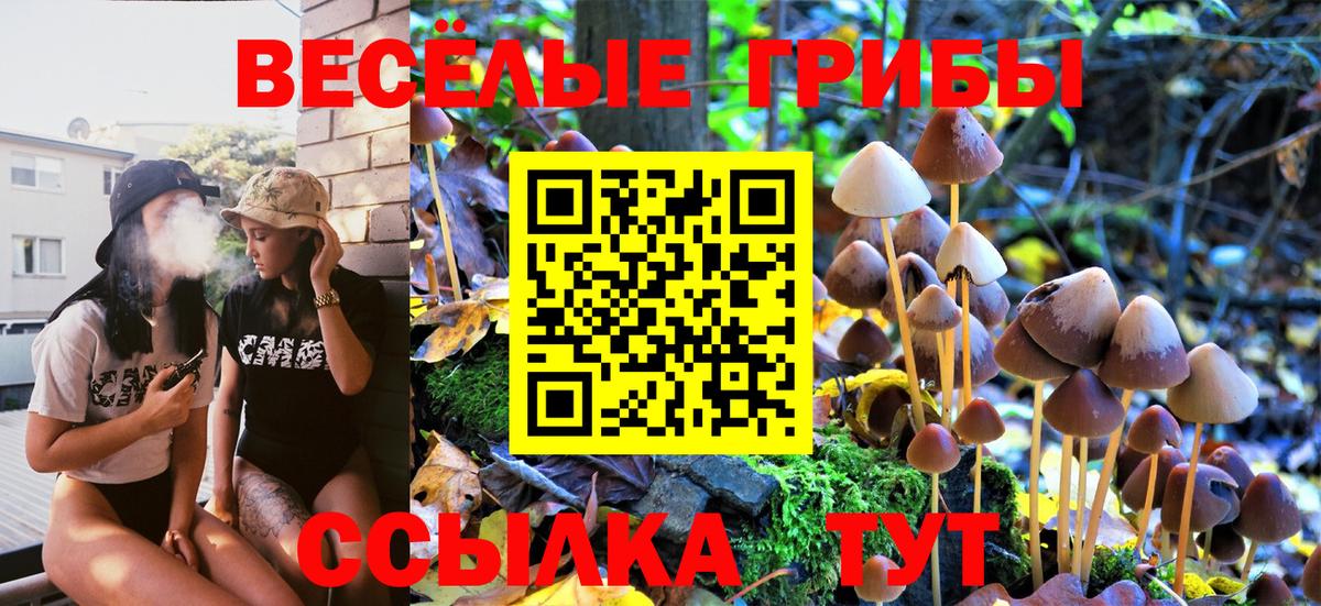Псилоцибиновые грибы Psilocybe Белово