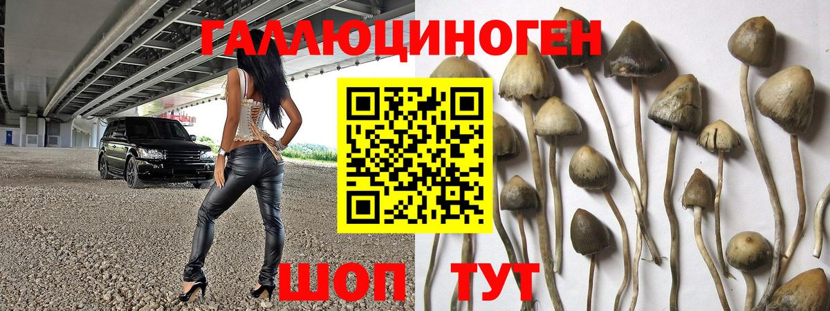 Псилоцибиновые грибы прущие грибы  Вход с VPN  Белово 